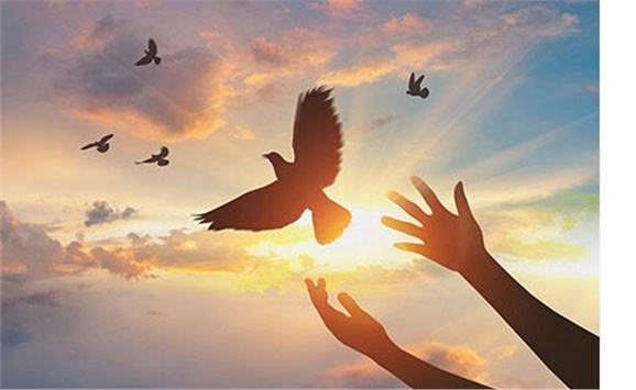 热烈祝贺经贸物流系严妍、刘志清老师被评为米兰买球先进工作者