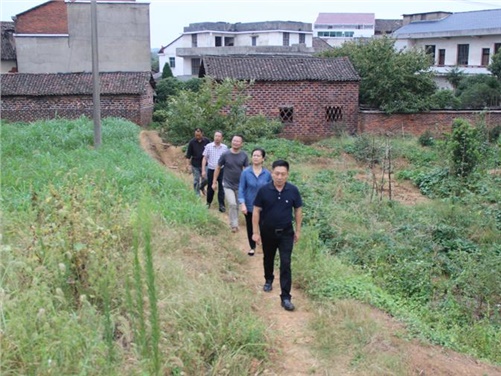 米兰买球党委书记张格林到攸县桃水镇小集村指导开展扶贫工作