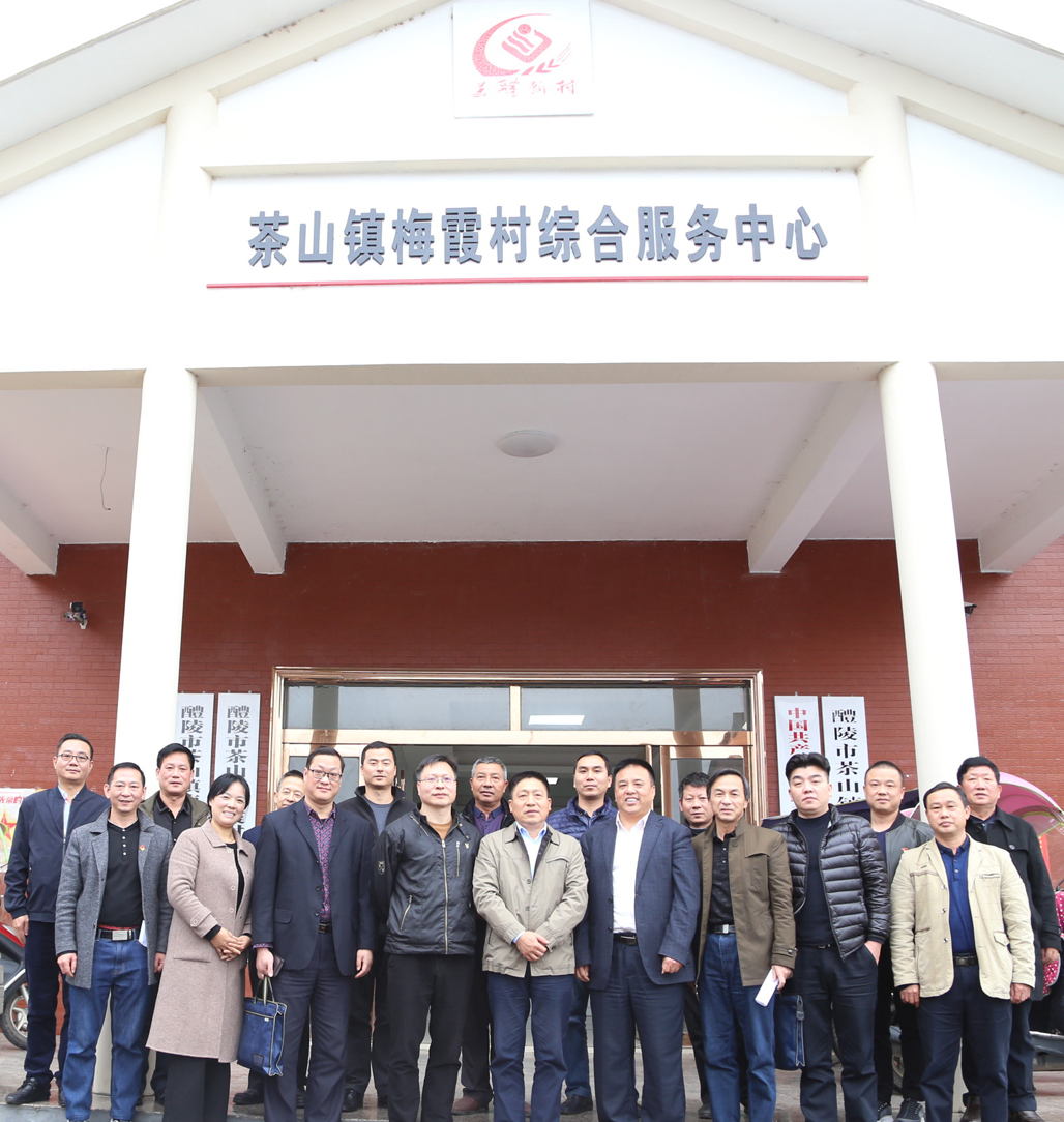 米兰买球党委书记张格林深入茶山镇梅霞村指导脱贫攻坚工作